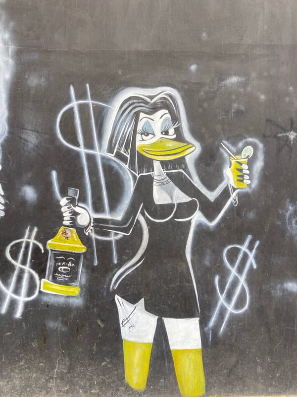 Cartoon duck murals and street art around Gwarinpa, Nigeria