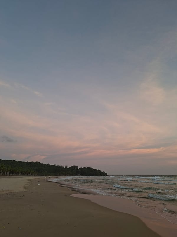 Dusk settles over a palm-lined beach at golden hour.