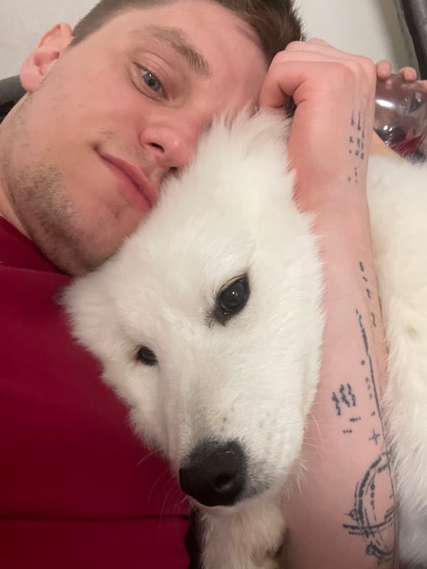 Man and Samoyed dog share quiet bedtime moments