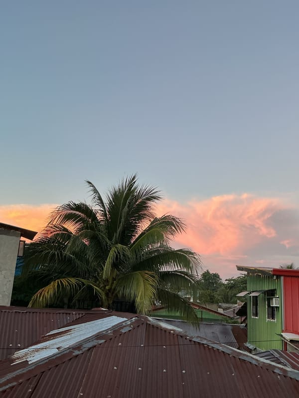Davao City sunset evening at home, cats and all