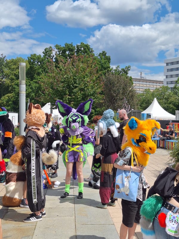 Fursuit meetup fills Chemnitz city center on summer afternoon