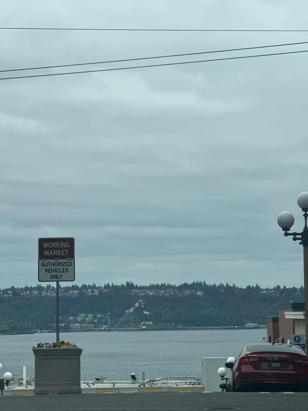Urban street scene with flower displays on an overcast day