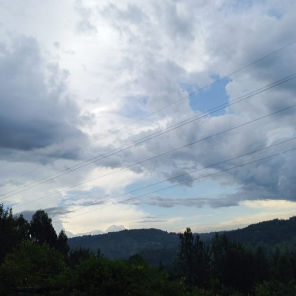 Verdant landscape documented in Borabu Chitago ward, Kenya