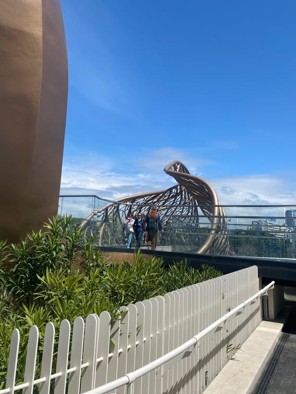 Morning tourism and recreation documented along Sochi riverfront