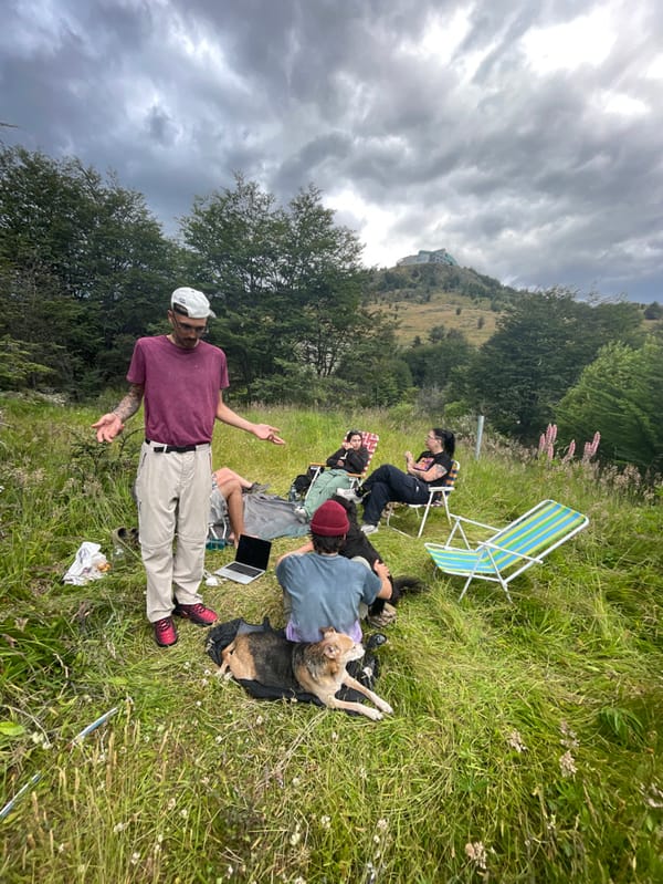Group enjoys afternoon countryside outing near Ushuaia with dogs
