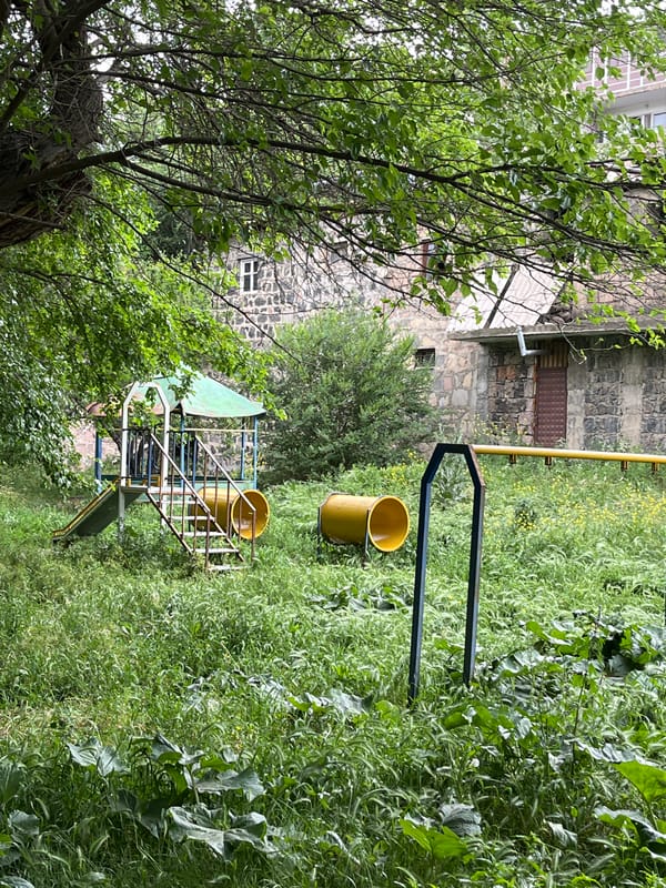 Overgrown playground spotted behind chain-link fence amid wildflowers