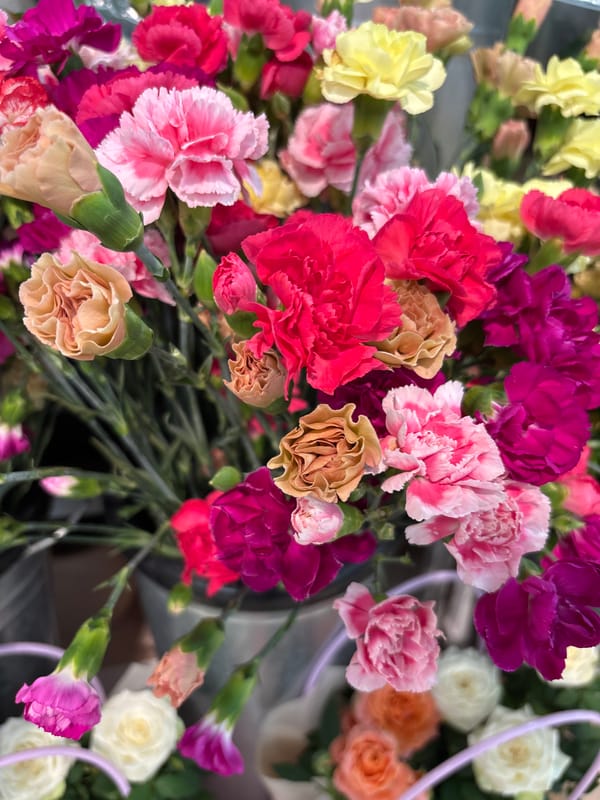 Colorful flower close-ups from Yoshkar-Ola, possibly a shop visit.