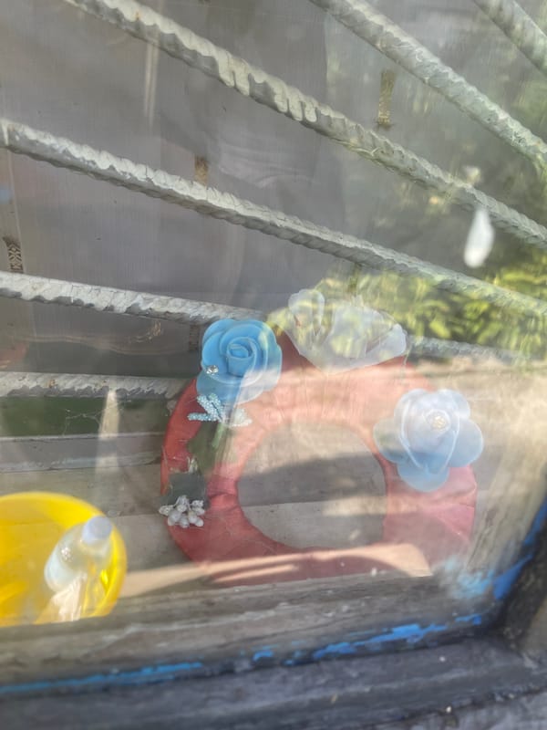 Summer garden scene in Poltava — cherries, roses, and a wandering cat