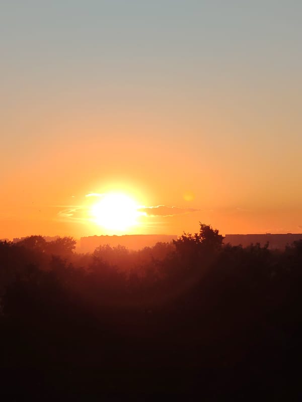 Summer evening scenes around Podolsk with flowers and sunset