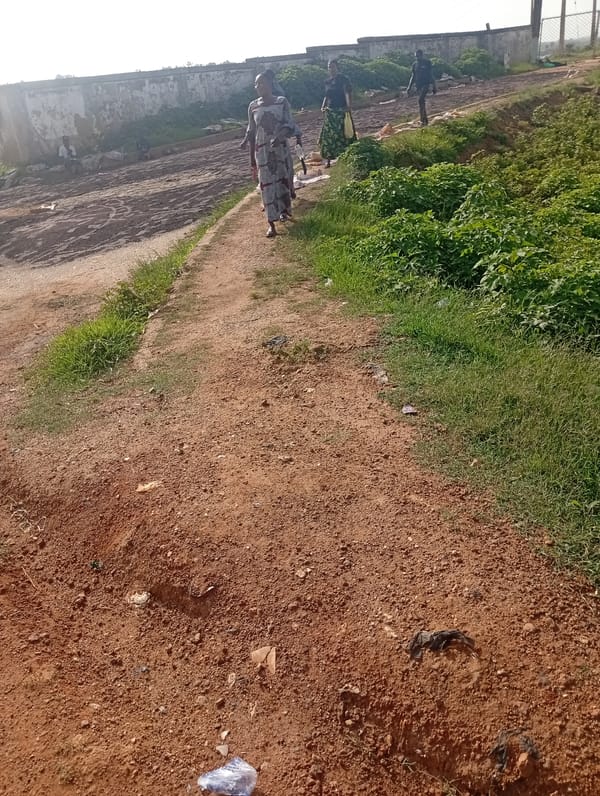 Everyday movement through Rafin Par and Jos streets and farmland
