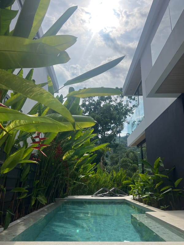 Morning scenes captured in tropical Sakhu, Thailand