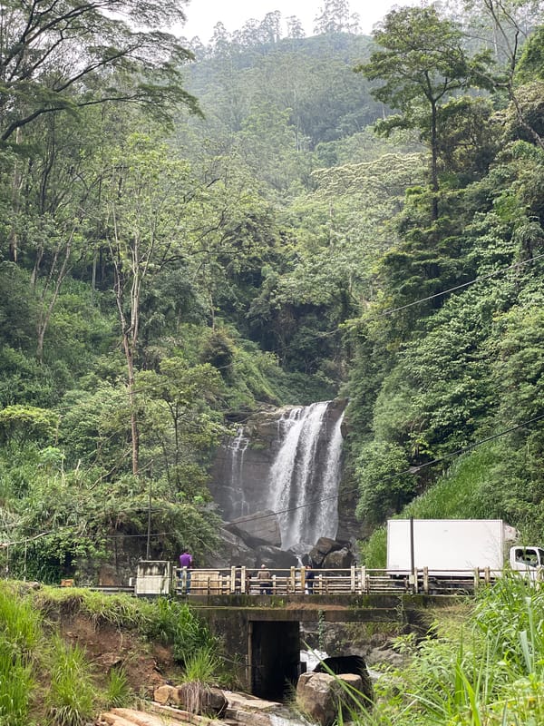 Early morning visitor observed at Ramboda Falls, Sri Lanka