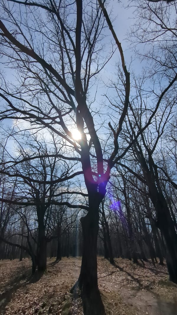 Spring day scenes captured in Ulyanovsk park by visitors