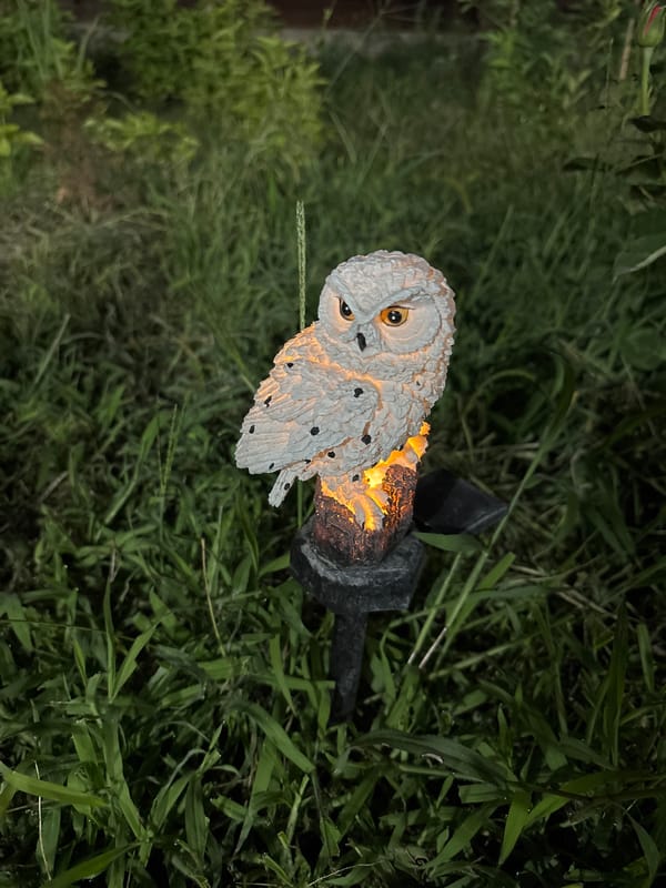 Evening garden in Taraz, flowers and a solar owl light