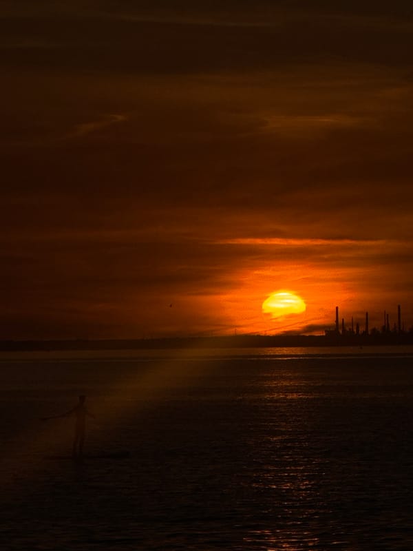 Witnesses document golden sunset with paddleboarder at Ryde waterfront