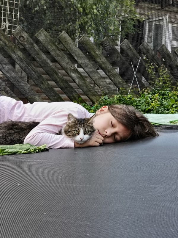 Napping on a trampoline with a cat in Lagovskoe