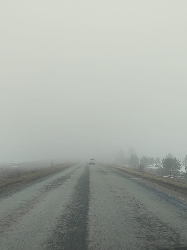 Heavy fog reduces visibility on wet road near Nechkino