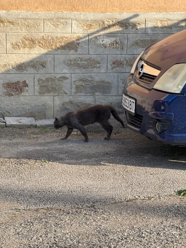 Street scenes documented across Lovech, Bulgaria in 10-minute span