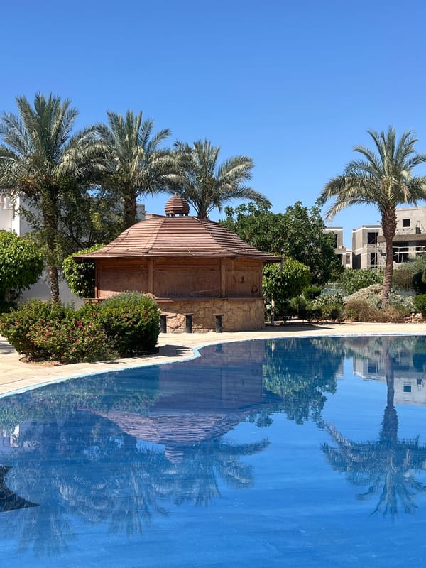 Resort morning in Sharm El Sheikh, cats, pools, and gardens
