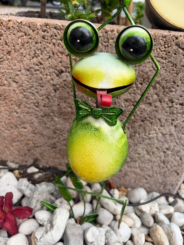 Garden ornaments, big skies, and a summer evening backyard