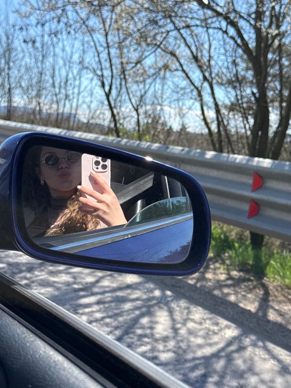 Driver takes mirror selfie with pink phone in Sevlievo