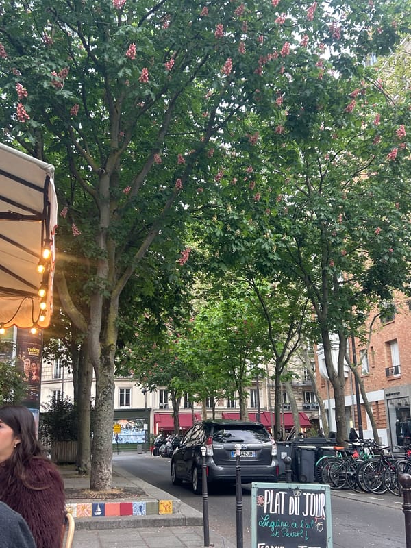 Woman documents afternoon stroll through Parisian streets and cafes
