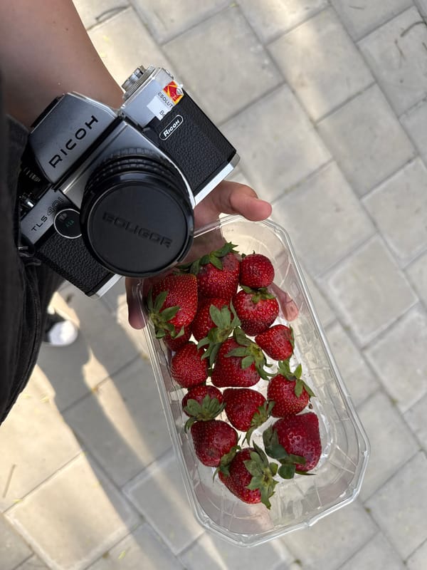 Person jugggles strawberries and vintage camera in Plovdiv