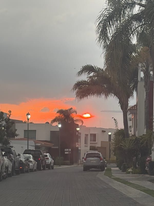 Urban sunset scenes and toy turtle captured in brief sequence