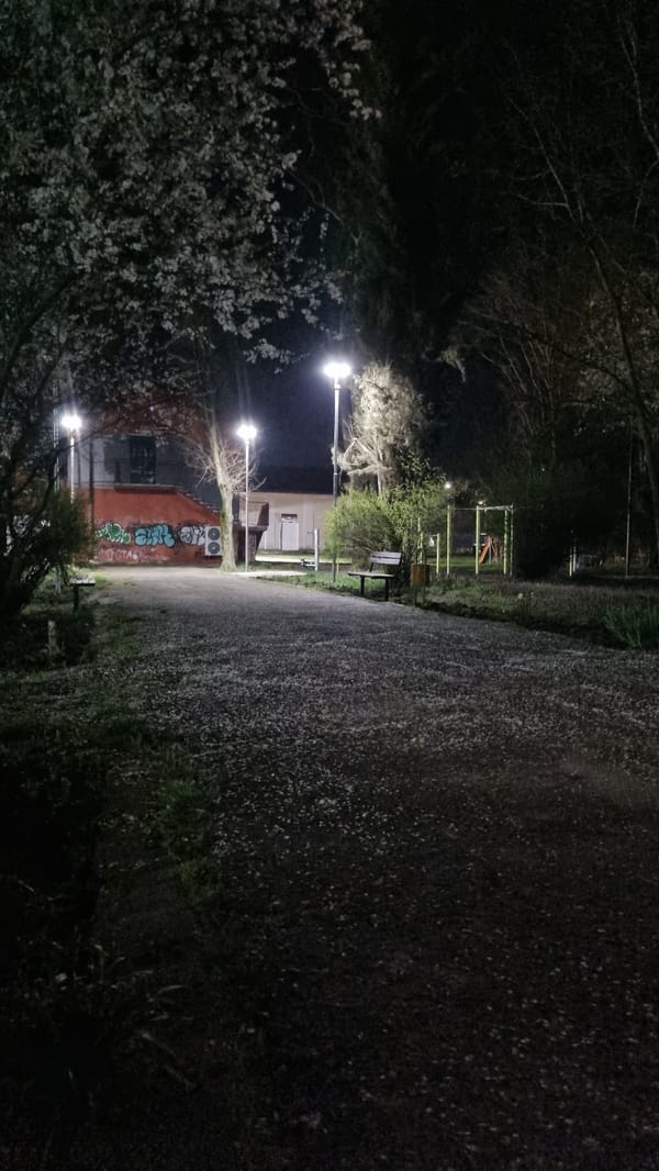 Nighttime pathway scene documented in Pchelnik, Bulgaria park area