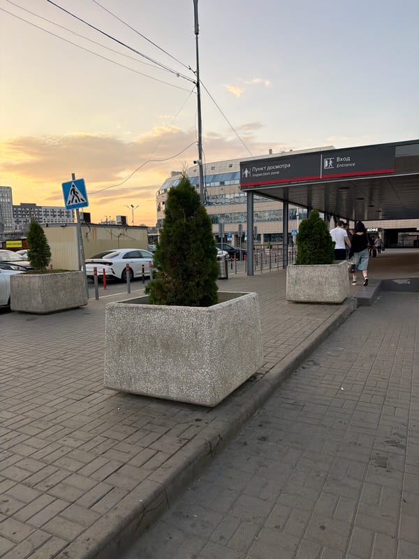 German Shepherd on an evening walk through Rostov-on-Don streets