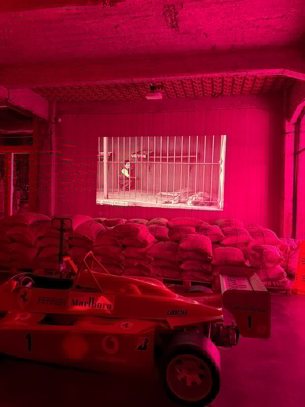 Burlap sacks stored under red lighting documented in Tbilisi