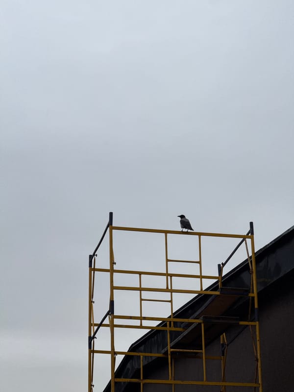 Moscow residents capture everyday urban moments on overcast afternoon