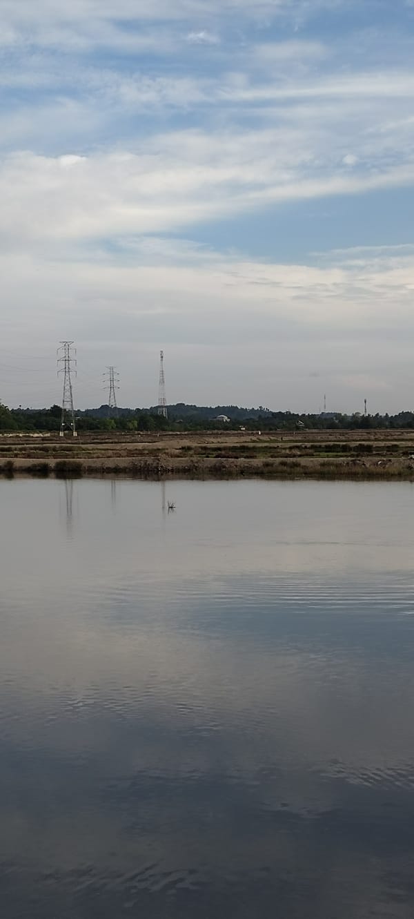 Salt fields, wetlands, and wildlife around Lhokseumawe, Indonesia