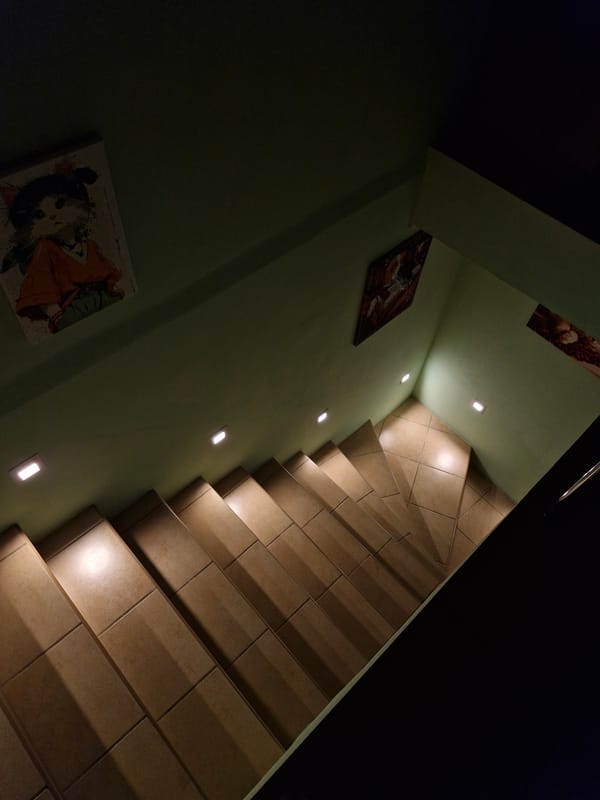 A quiet Lviv evening: wet streets, a tabby cat, and small objects at home