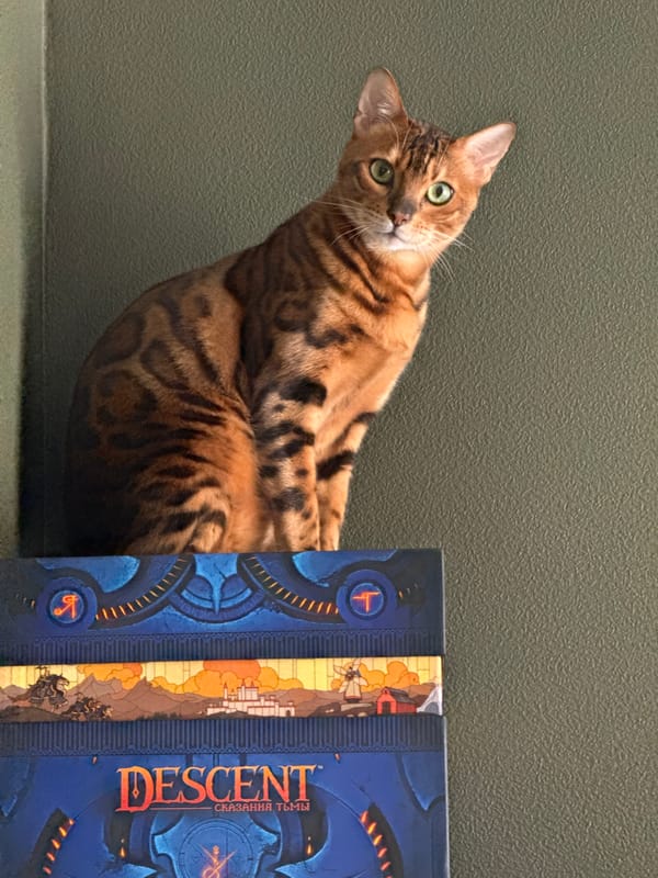 Bengal cat rests beside board games in Moscow