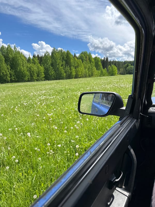 Driver captures sunny rural landscape view in Ilyinsky, Russia