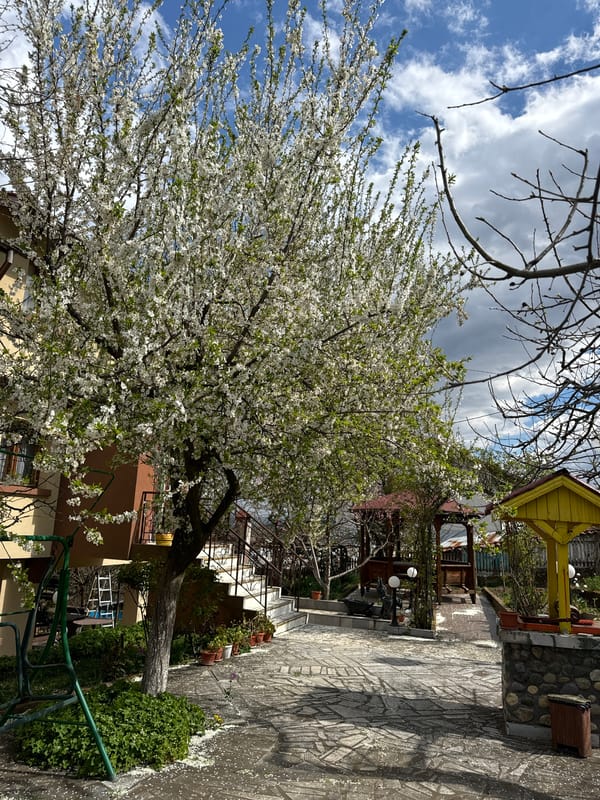 Woman rests in blooming garden in Frolosh, Bulgaria