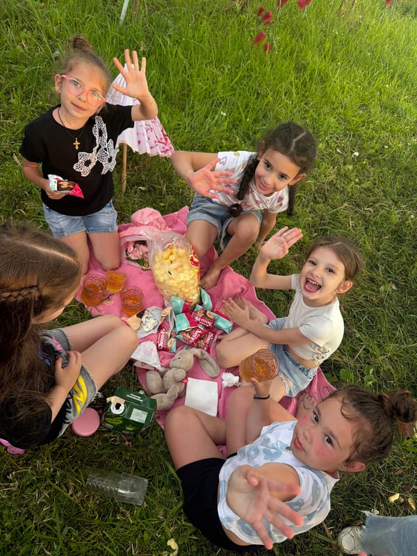 Outdoor picnic with homemade food in Sokhumi garden setting