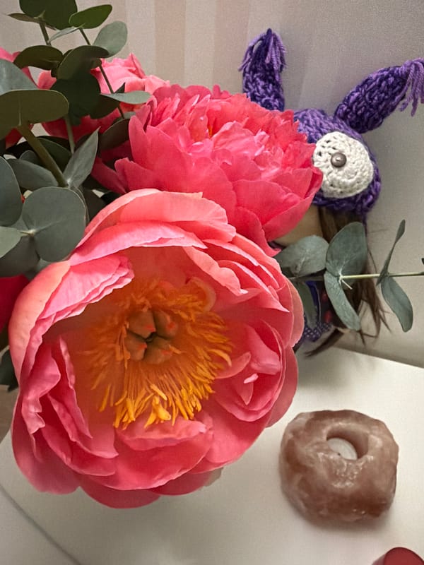 Pink peony bouquet photographed with handmade doll in Russia