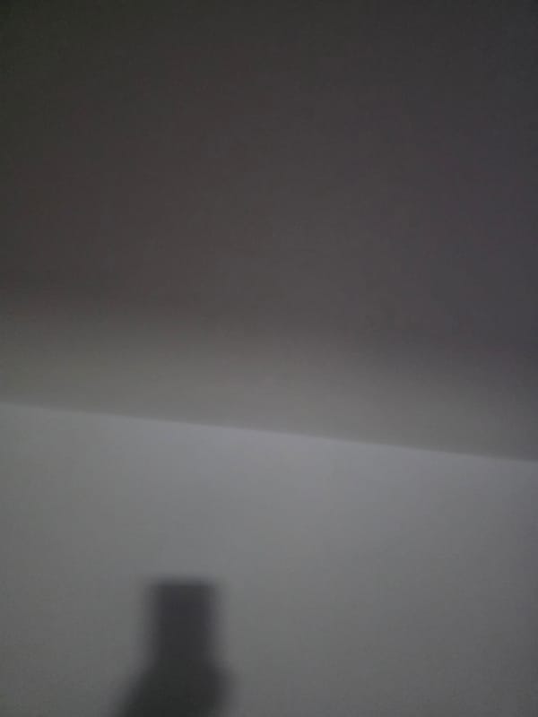 Blurred image captured by witness in Lukovit, Bulgaria