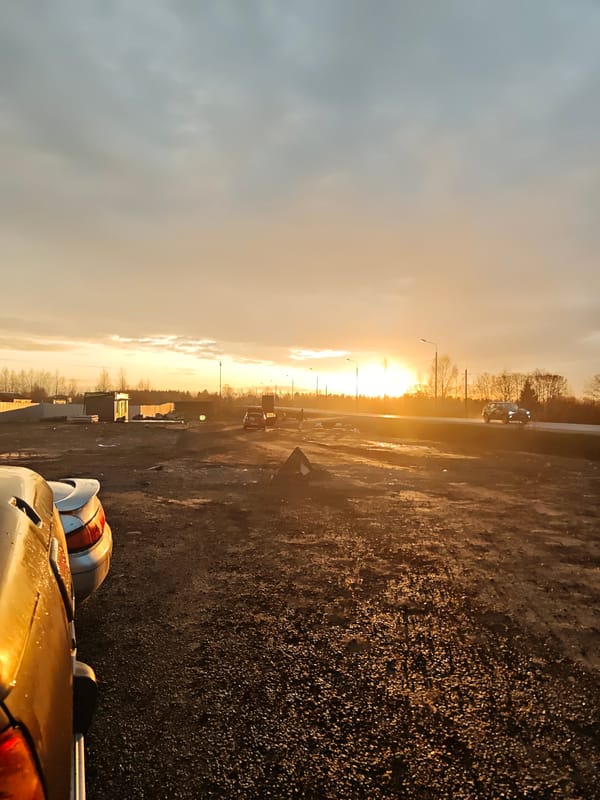 Woman captures sunset selfie in Svistukha, Russia