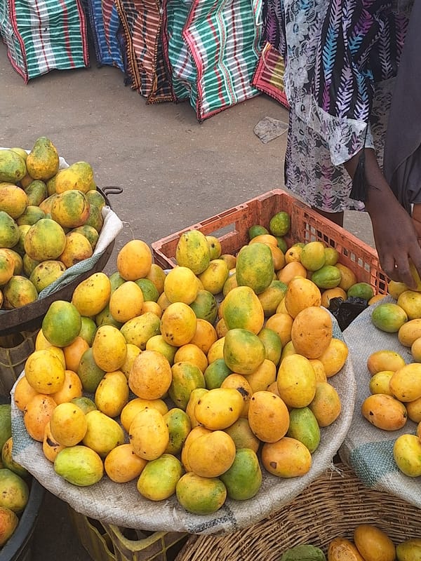 Daily market life documented in Sabon Tasha, Nigeria