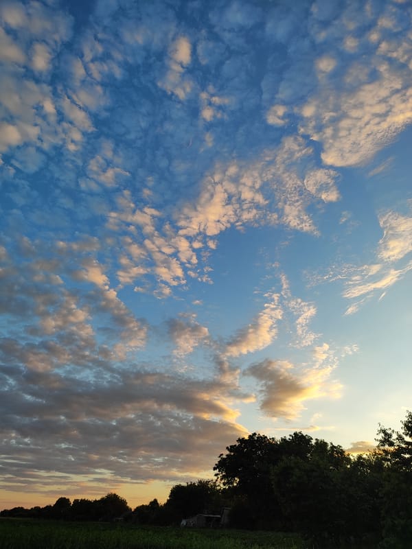 Garden evening ends with crescent moon rising through cloudy skies