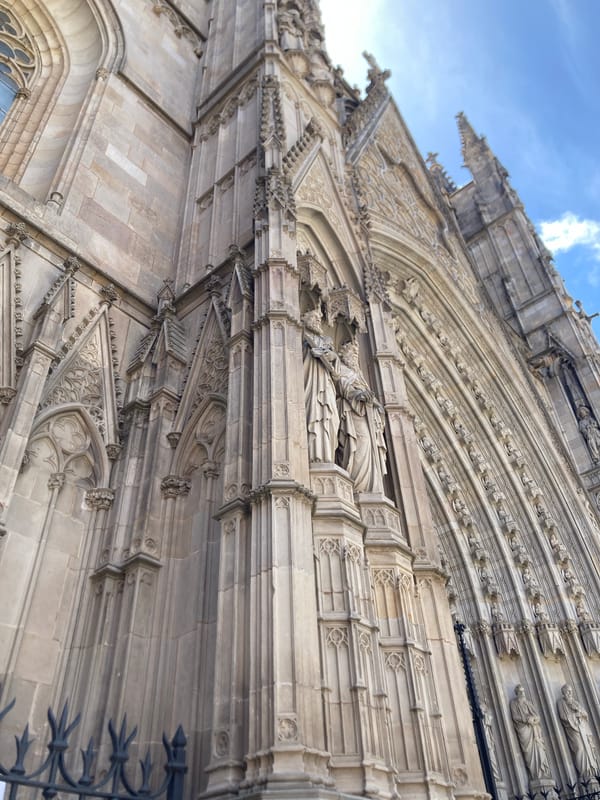 Morning at Barcelona Cathedral, Gothic Quarter details and surroundings