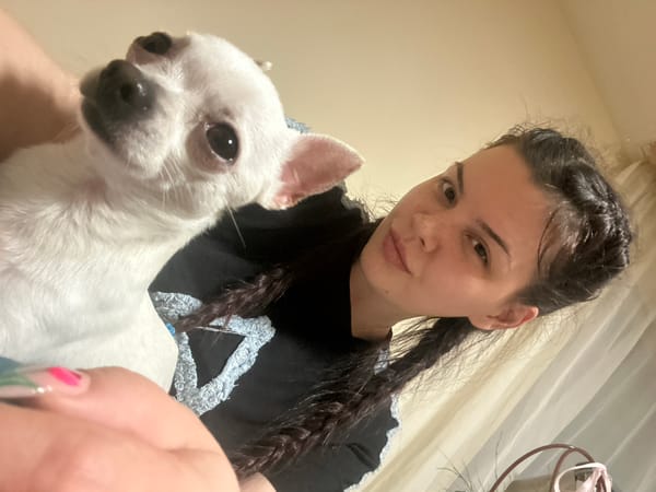 Woman takes selfies with Chihuahua during evening photo session