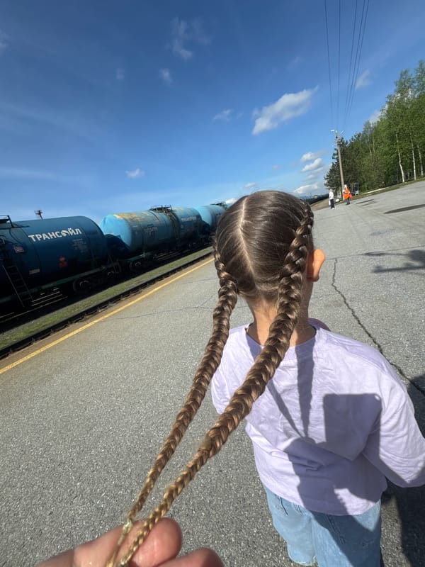 Sunny morning scenes documented along railway in Vysoky, Russia