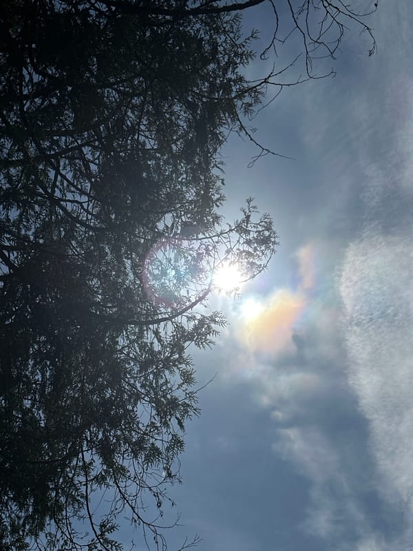 Bright afternoon skies observed in New Westminster