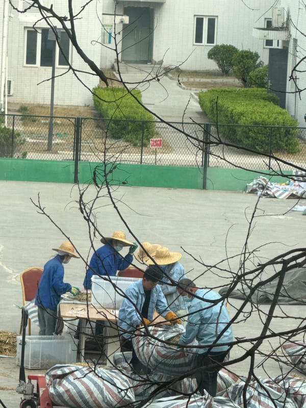 Workers in blue uniforms conduct outdoor activities in Daxing District