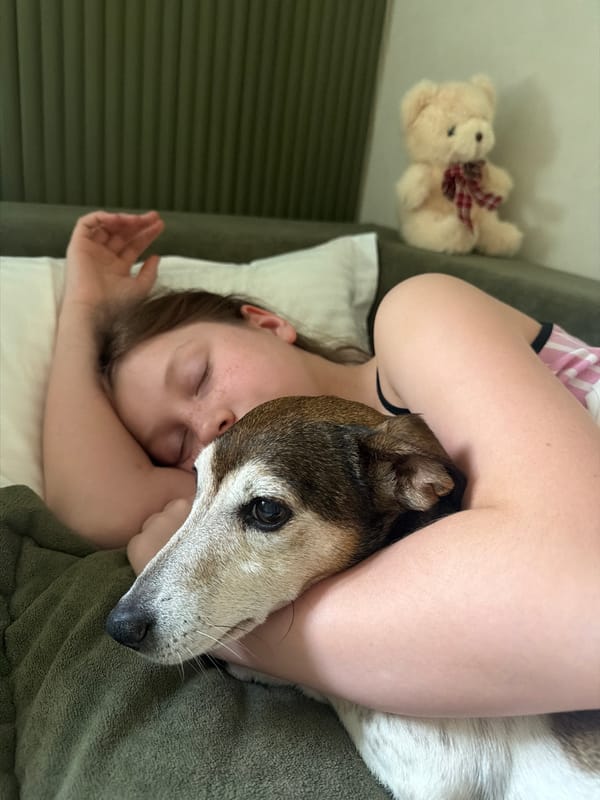 Quiet sleeping moments captured in Markovo homes early morning