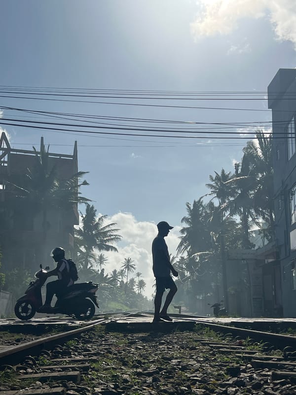 Life paused at a palm-lined railway crossing in coastal Sri Lanka